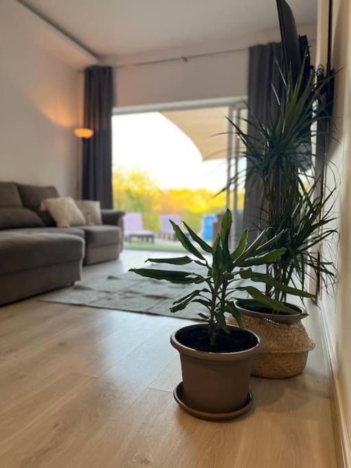 Quinta Da Alfarrobeira Peaceful Countryside Stay ฟารู ภายนอก รูปภาพ