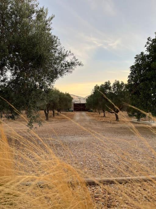 Quinta Da Alfarrobeira Peaceful Countryside Stay ฟารู ภายนอก รูปภาพ