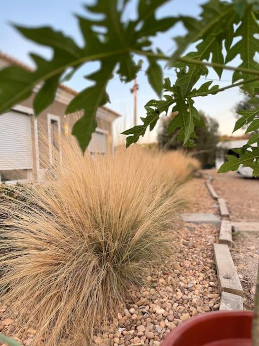 Quinta Da Alfarrobeira Peaceful Countryside Stay ฟารู ภายนอก รูปภาพ