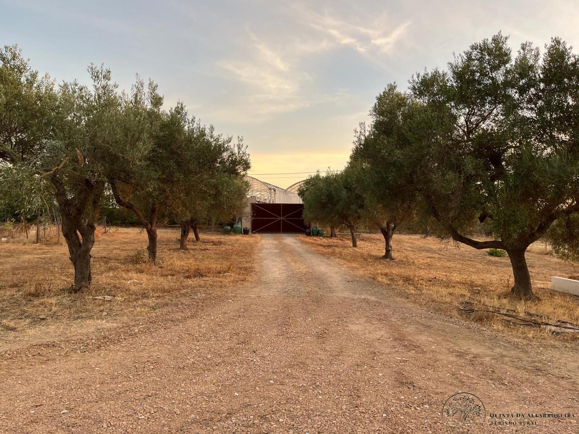 Quinta Da Alfarrobeira Peaceful Countryside Stay ฟารู ภายนอก รูปภาพ